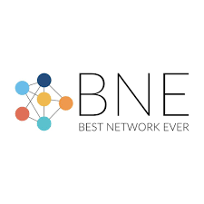 BNESIM logo